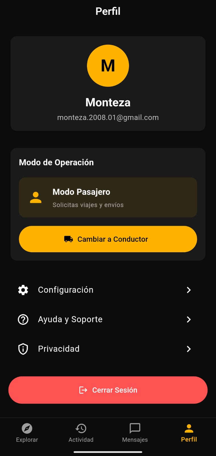 Pantalla de perfil del conductor